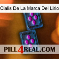 Lily Brand Cialis 03